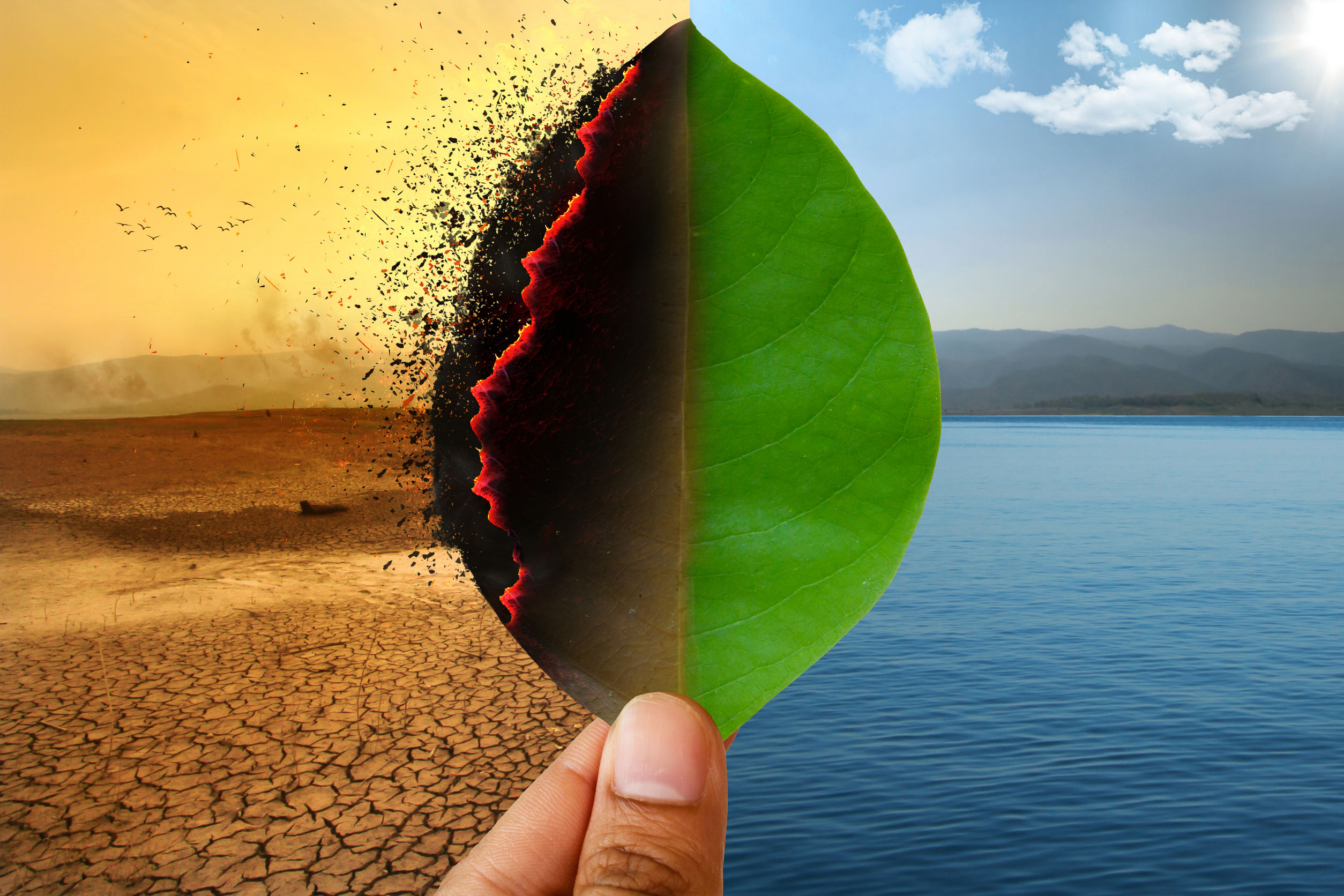A hand holding up a leaf with the sun setting in the background.