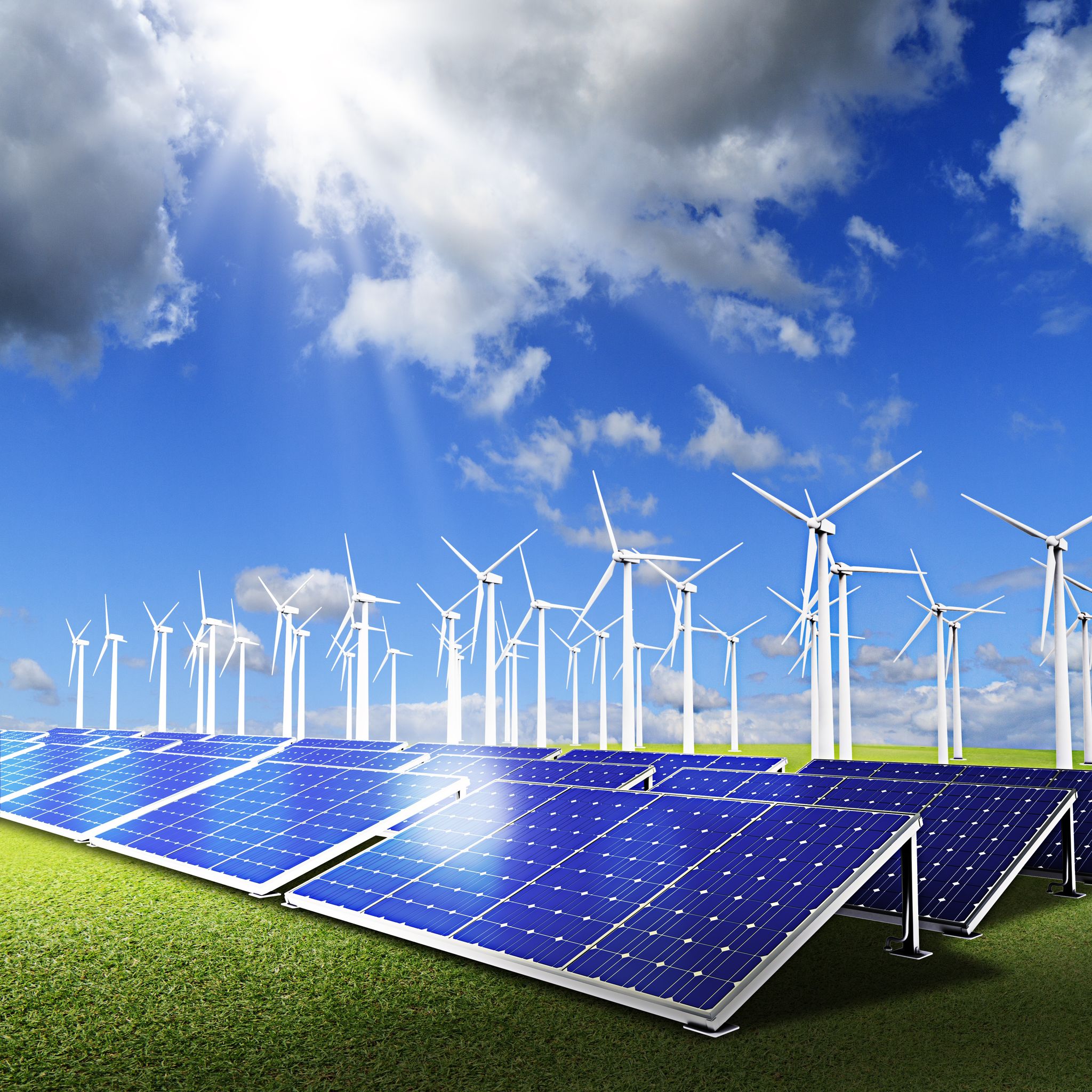 A field with solar panels and wind turbines.