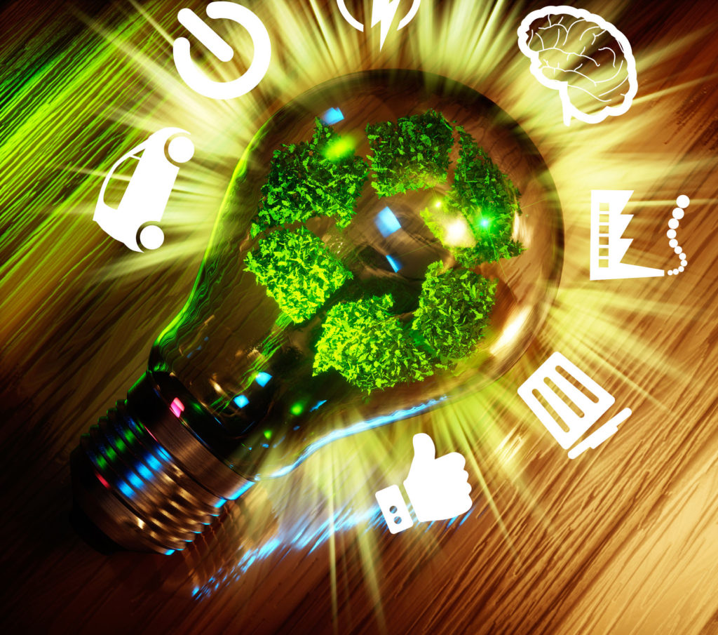 A light bulb with the image of a tree in it.