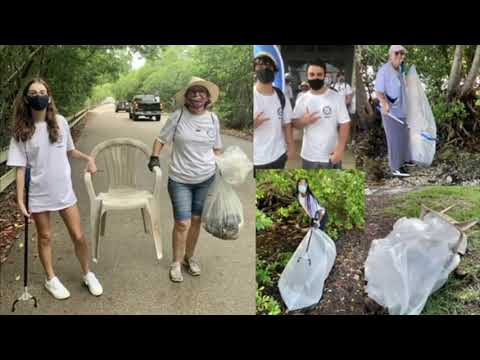 Planting trees, beach cleanups, picking up litter, encouraging beehives