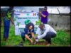 A couple of people that are planting trees