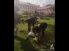A group of people in the grass with bags.