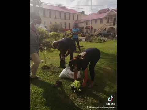 On Sunday, October 10, 2021,the Rotary Club of Georgetown along with IICA planted 175 plants.